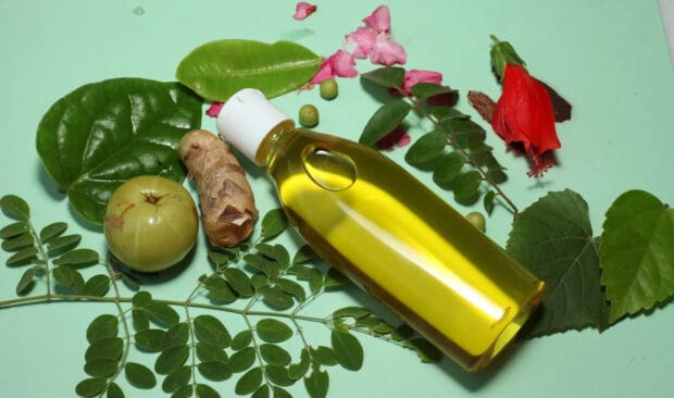 Tataiya Bhirad Oil Yellow Bee Nest Oil Wasp Nest Hair Oil Ayurvedic Hair Oil Homemade Hair Oil Natural Hair Oil Herbal Hair Oil Hair Growth Oil Hair Fall Control Oil Scalp Care Oil